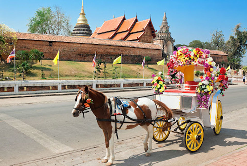 แผนที่ เบดบายซิตี้ สุรวงศ์ พัฒน์พงศ์