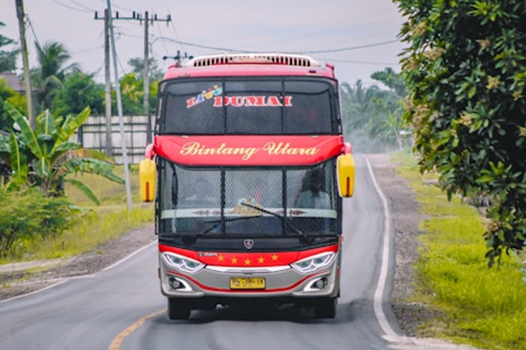 img bus